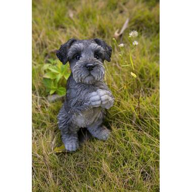 Miniature schnauzer 2024 gift items